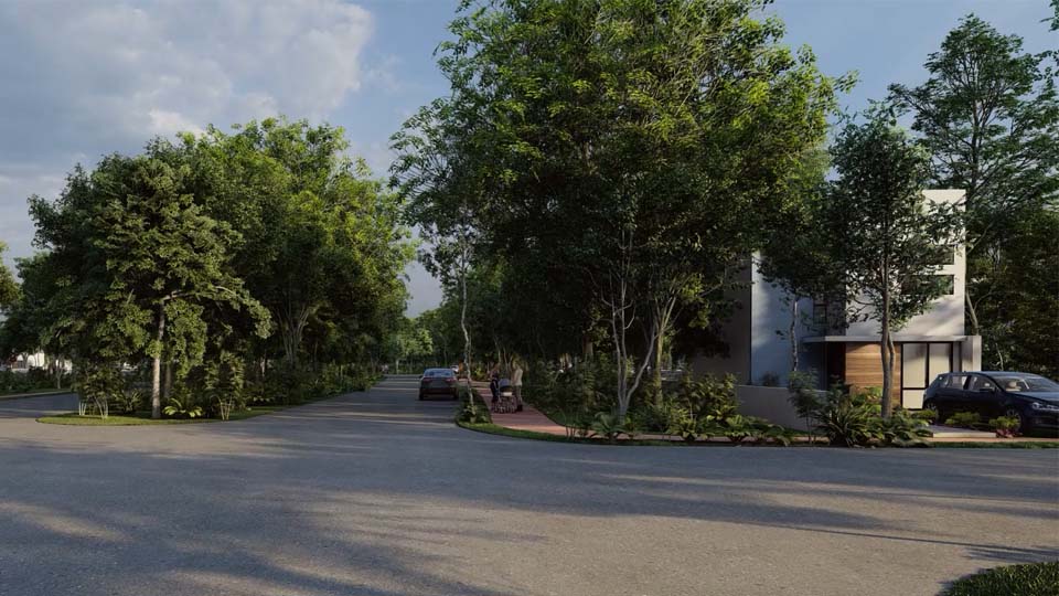 render01.jpg